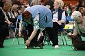 Crufts2011_2 714